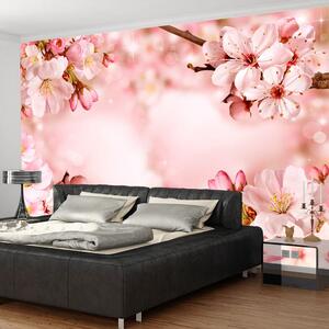 Samolepiaca tapeta čerešňový kvet - Magical Cherry Blossom
