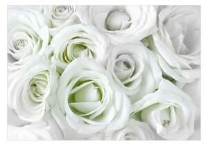 Samolepiaca tapeta zelené ruže - Satin Rose - 147x105
