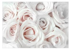 Samolepiaca tapeta ruže - Satin Rose