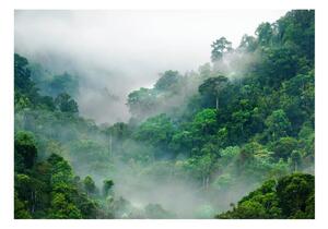 Samolepiaca tapeta hmla nad pralesom - Morning Fog