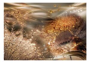 Samolepiaca tapeta zlatá ranná rosa - Dandelions' World