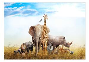 Fototapeta africké zvieratá - Fauna of Africa