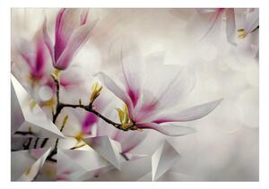Fototapeta sladká magnólia - Subtle Magnolias