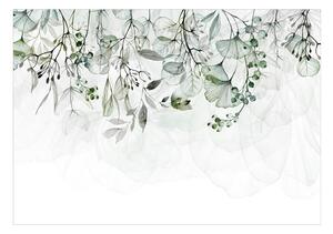 Fototapeta rastliny v zelenom prevedení - Foggy Nature