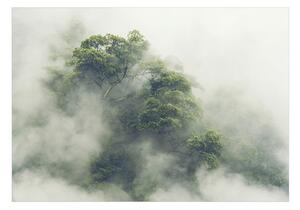 Samolepiaca tapeta hmlistý prales - Foggy Amazon
