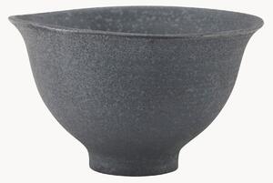 Miska Pion