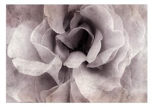 Fototapeta detail ruže vo vintage štýle - Entrance to Bliss