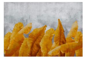 Fototapeta žlté listy - Banana Leaves