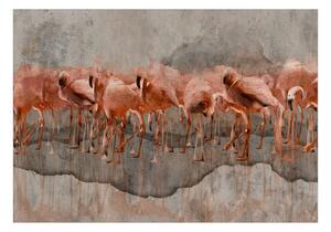 Fototapeta rieka plná plameniakov - Flamingo Lake