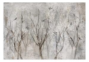 Fototapeta nádherné stromy s vtákmi - Singing in the Forest