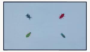 Obrus Bugging You