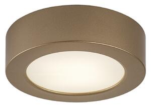 Rabalux SHAUN PLUS LED vonkajšie stropné svietidlo 75077