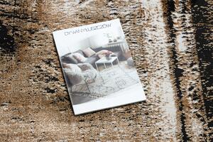 Moderný koberec DE LUXE 634 Rám vintage - Štrukturálny sivo / zlatý