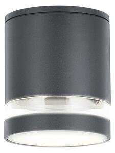 Rabalux Vonkajšie stropné prisadené svietidlo Zombor 1x35W | GU10 | IP54 - antracit 7817