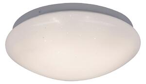 Rabalux LED prisadené stropné svietidlo Lucas 12W | 700lm | 4000K | IP20 | 26cm - kruhové biele