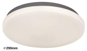 Rabalux LED stropné svietidlo Rob 1x20W | 1400lm | 4000K - priemer 29cm