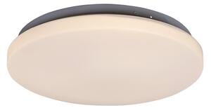 Rabalux LED stropné svietidlo Rob 1x20W | 1400lm | 3000K - priemer 29cm