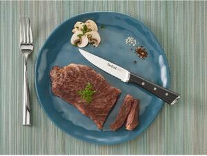 Súprava nožov na steak z nerezovej ocele 4 ks Ice Force – Tefal