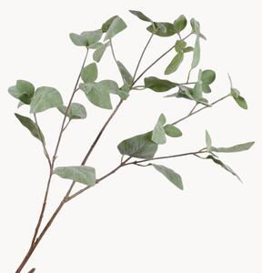 Rastlinné dekorácie Kalanchoe, 2 ks