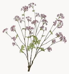 Rastlinné dekorácie Pelargonie, 2 ks
