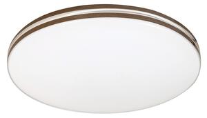 Rabalux OSCAR2 LED stropné svietidlo 71173