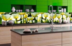 Samolepiaca fototapeta do kuchyne biele tulipány
