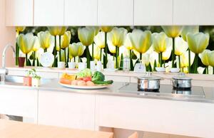 Samolepiaca fototapeta do kuchyne biele tulipány