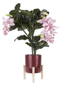 PRESENT TIME Keramický vínový kvetináč Tresle květináč ∅ 20 cm × 20 cm, podstavec ∅ 25 cm × 18 cm