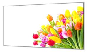 Ochranná doska kvety farebné tulipány - 55x55cm / ANO
