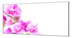 Ochranná doska kvety fialovej orchidey - 65x90cm / NE