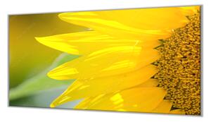 Ochranná doska detail kvet slnečnice - 40x60cm / NE