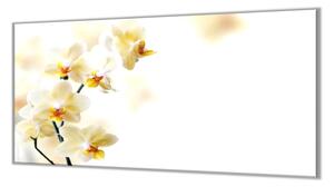 Ochranná doska kvety žlté orchidey - 50x70cm / ANO