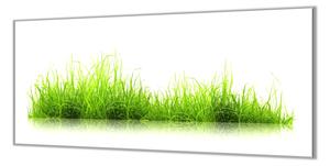 Ochranná doska zelená tráva na bielom podklade - 52x60cm / ANO