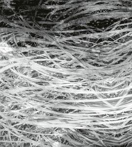 Fototapeta Art abstraktné seno v čiernobielom prevedení