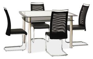 SIG Sklenený jedálenský stôl RODI čierny 120x80x75