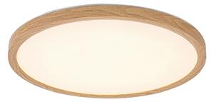 Rabalux LAUTREC LED vonkajšie stropné svietidlo 75085