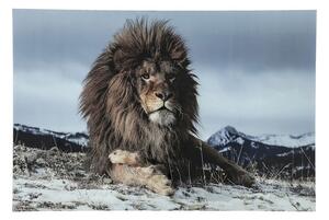 KARE DESIGN Obraz na skle Prúd Lion 120 × 180 cm 120 × 180 × 4 cm
