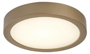 Rabalux SHAUN PLUS LED vonkajšie stropné svietidlo 75078