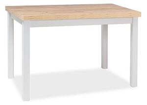 SIGNAL SIG Jedálenský stôl ADAM dub artisan/biely mat 120x68