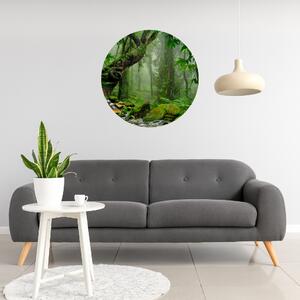 100x100cm Tajomná džungľa - textilná nálepka na stenu Veľkosť: 60 cm