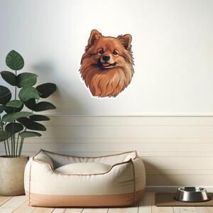 60x60cm Nálepka Pomeranian Veľkosť: 60 cm