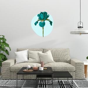 60x60cm Tyrkysový kosatec - textilná nálepka na stenu