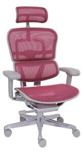 Grospol - Kancelárske kreslo Ergohuman 2 Elite GS Pink