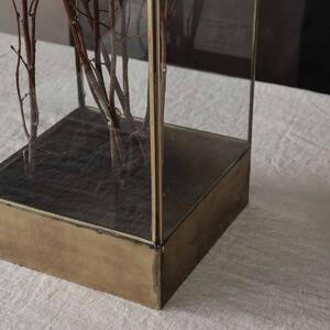 HOUSE DOCTOR Sklenený box na kvety Plant Brass – 30 cm 21 x 30 x 30 cm