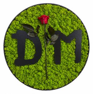 Machový obraz - Depeche Mode Veľkosť rámu: 30cm