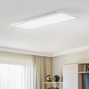 Lindby LED panel Livel, 80 cm x 30 cm, diaľkové ovládanie, Hliník / sivá / zinok, Kuchyňa, Hliník, Moderný, Stropné svetlo