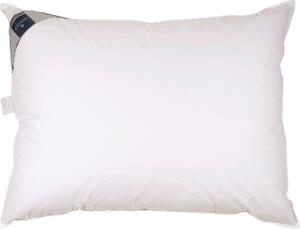 VANKÚŠ POD HLAVU, 40/80 cm Billerbeck - Prikrývky & vankúše