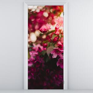 Fototapeta na dvere - Kvety rozvinutého kríka (95x205cm)