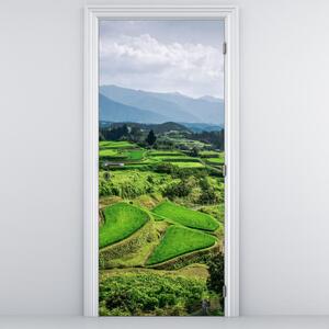 Fototapeta na dvere - Ryžové polia (95x205cm)