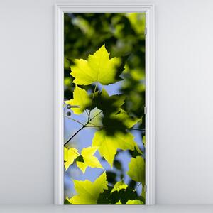 Fototapeta na dvere - Javorové listy (95x205cm)